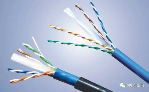 六类网线钳能压五类水晶头吗？屏蔽与非屏蔽网线全解析